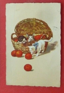 Postkarten Kätzchen Katzen mit Mandarinen 1927 - Bild 1 von 2