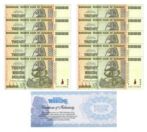 Billete de 10 mil millones de Zimbabue 2008, P-86 usado paquete certificado de autenticidad auténtico billón - Imagen 1 de 3