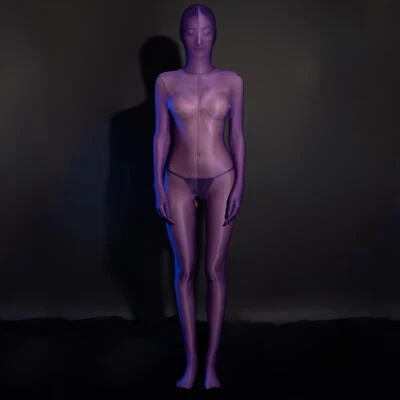 Mujeres Ultra-delgado Transparente Brillante Bodystocking Cremallera Body Gato Disfraz Zentai Foto 1 de 4