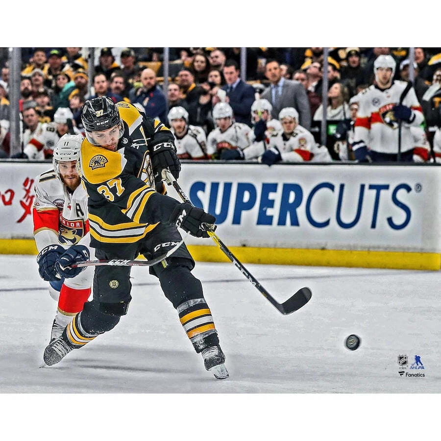 Foto de hockey Patrice Bergeron en acción Boston Bruins 8" x 10" Foto 1 de 1