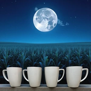 CORELLE COORDINATES  Pure White Coffee Mug Cup Porcelain 12 oz Set of 4 Vintage - Picture 1 of 9