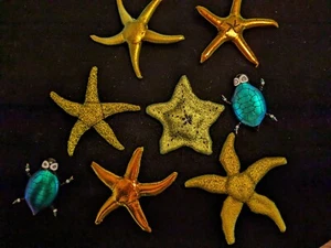 Two Dichroic Fused Glass Pins Brooch Sea Creature CMS Studio-Starfish & Turtles - Picture 1 of 5