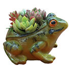 Frog Planter Small Flower Pot Resin Succulent Tabletop Container Creative Decor