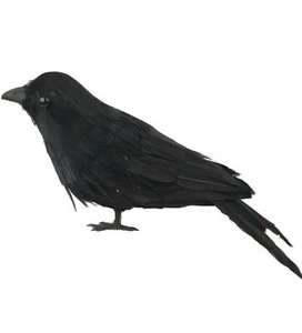 6 Pack Halloween Black Crow Decorations - Picture 1 of 2