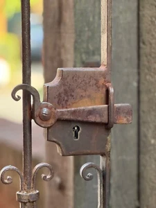 Antique Ornate Wrought Iron Garden Gate - Picture 1 of 3