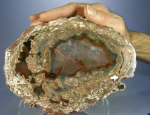 THE MOTHER OF ALL BAKER AGATE THUNDEREGGS, NEW MEXICO, GLOBE MINERALS, CLASSIC! - Picture 1 of 3