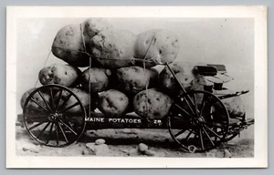 Postcard Exaggerated Maine Potatoes Tied Down on Wagon Real Photo RPPC - Picture 1 of 2