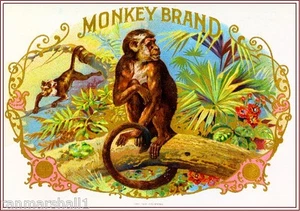 1900 Monkey Smoke Vintage Zigarre Tabak Box Kiste innen Etikett Druck - Bild 1 von 1