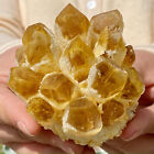 280G Natural yellow Crystal Cluster/Flower Shape Mineral Specimen healing