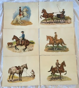 Set/Lot 6 Vintage 1964 Pferde Reiter Litho Bild Kunstdruck 18x14" - Ole Larsen - Bild 1 von 13