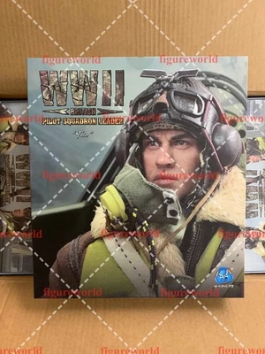 DID K80187 1/6 WWII British Pilot Squadron Leader Tom Action Figure Model Toy - Image 1 of 4