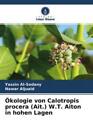 Ökologie von Calotropis procera (Ait.) W.T. Aiton in hohen Lagen  6625