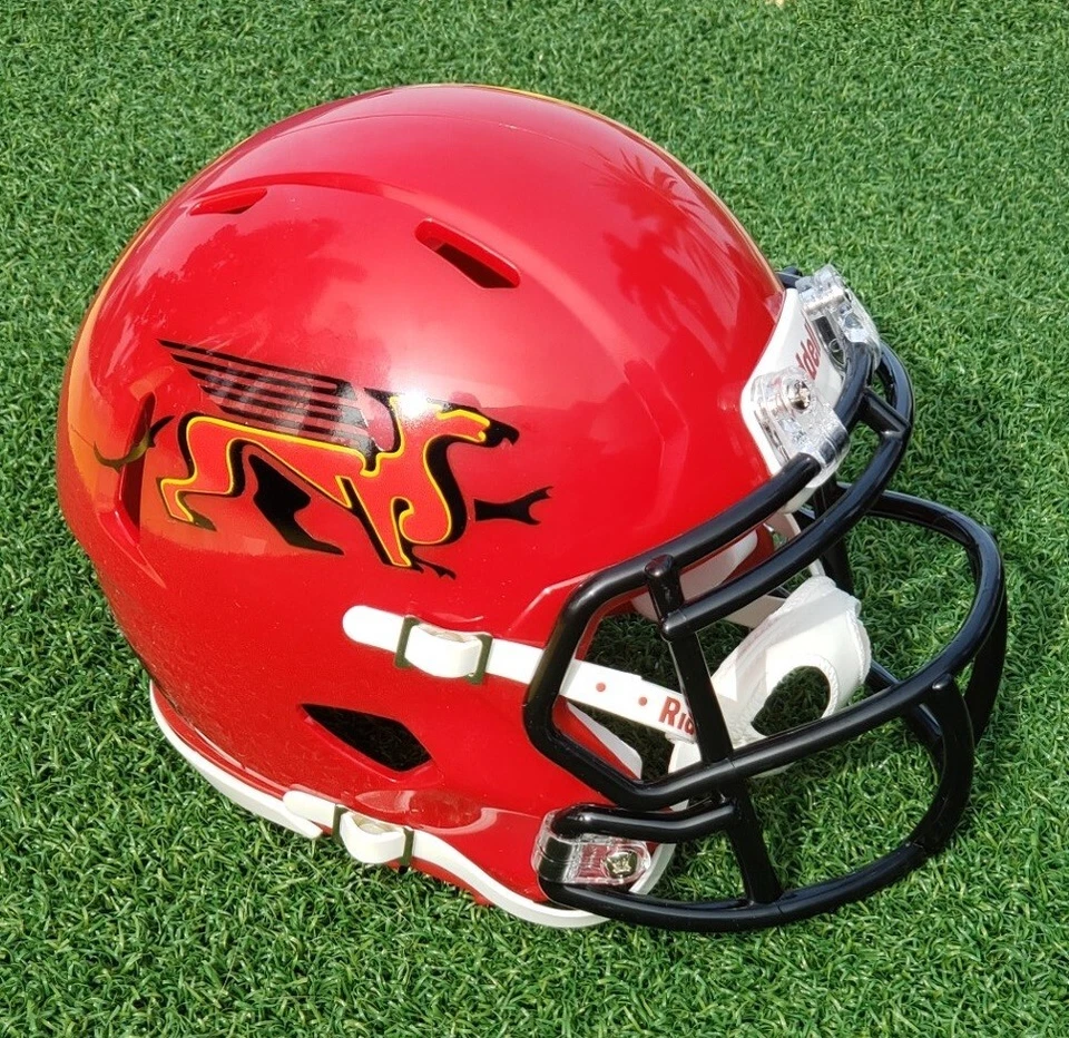 MINICASCO DE FÚTBOL AMERICANO UNIVERSIDAD DE GUELPH GRIFOS OTRAS VERSIONES Foto 1 de 1