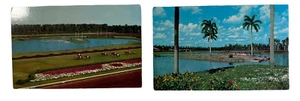 KodaChrome Hialeah, Florida Race course & Flamingo Island Postcards - Picture 1 of 6