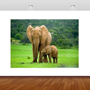 Elefant Baby Dschungel Tiere Zoo 3D zerschlagen Wandaufkleber Poster Vinyl Wandbild S634 - Bild 1 von 1
