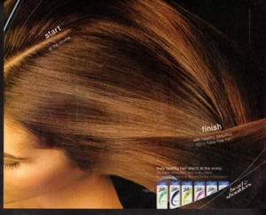 print ad advertisement Hair Head & Shoulders Start to Finish Shampoo hair scalp - Picture 1 of 1