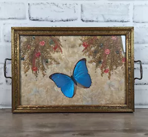 ANTIGUA BANDEJA BOTÁNICA MORPHO ALAS MARIPOSA FLOR PRENSADA CON ASAS - Imagen 1 de 10