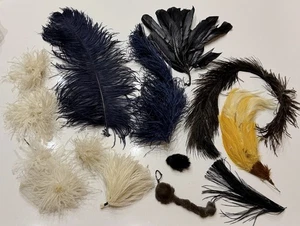 1920s Authentic Millinery Feather 14pc Lot Ostrich Coque Marabou Hat Trim Plums - Picture 1 of 2