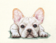 WHITE FRENCH BULLDOG dog, puppy ~Full counted cross stitch kit + all materials 