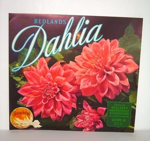 *Original* DAHLIA Pink Flower REDLANDS Orangedale Orange Crate Label - Picture 1 of 1