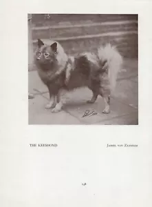 PÁGINA DE IMPRESIÓN DE PERRO KEESHOND ANTIGUA DE COLECCIÓN 1934 CON NOMBRE - Imagen 1 de 1