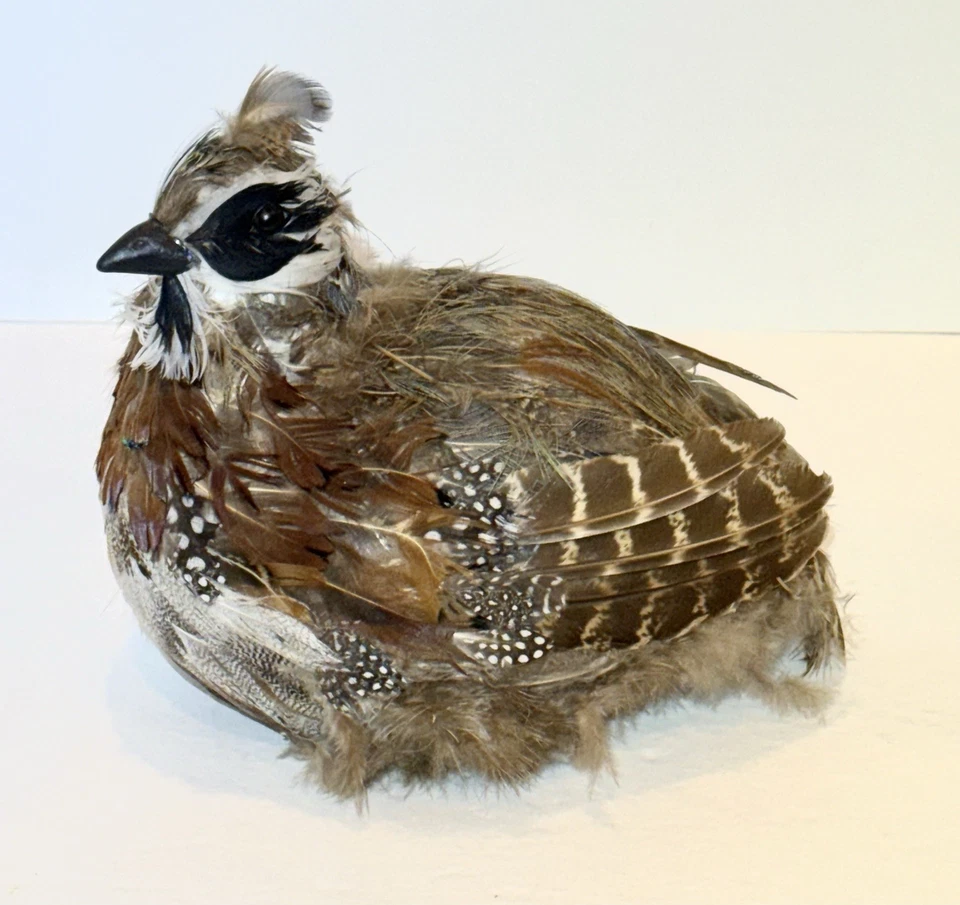 Настольные перепелиные крепления реплика из перьев и пены Taxidermy - Изображение 1 из 4