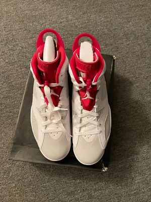 Nike Air Jordan 6 Retro Liebre Alterna 384664-113 Talla 10.5 2017 Foto 1 de 4