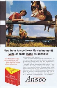 1960 Collie Dog Ansco Moviechrome-8 Print Ad - Picture 1 of 1