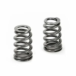 Supertech Beehive Valve Spring Kit for Ford/Mazda DURATEC 2.0L/2.3L - Picture 1 of 1