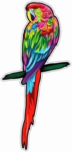 "Calcomanía de pegatina para ventana parachoques para coche guacamayo Parrot Vida Silvestre 3""X7" - Imagen 1 de 1