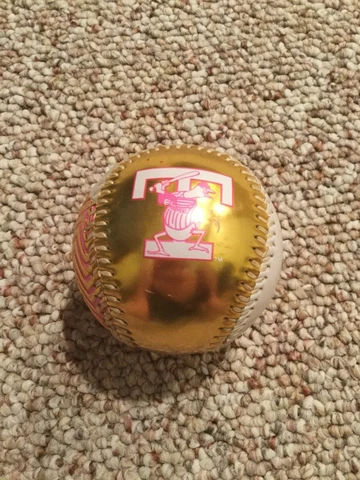 Toledo Mud Hens Souvenir Baseball Rawlings Pink and Gold with logos Cover