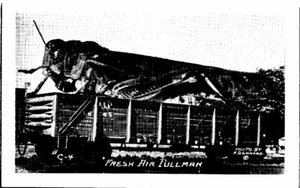 1970s KS Postcard Fresh Air Pullman Dodge City Exaggeration Cricket Train RR - Picture 1 of 2