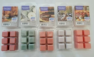 NEU Better Homes & Gardens Duftwachswürfel 2,5 Oz. Wählen Sie Ihren Duft - Bild 1 von 11