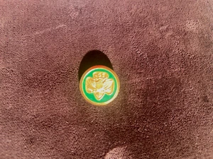 Vintage 1960-1979 Girl Scout FRIENDSHIP PIN Gold Eagle International Swap NICE - Picture 1 of 3
