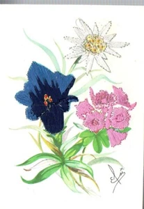 CARTOLINA ricamo fiori montagna stella genziana NON V.TA NON SCRITTA n. 452 - Bild 1 von 2