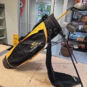 Cobra Jr. SZ Set (Driver, 3 Wood, 6,8, Wedge, And Putter With Bag Right Handed - Picture 1 of 6