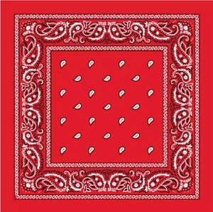 12 Pcs Lot POLYESTER Paisley Print Bandana Face Cover Head Wrap Headband Scarf - Picture 1 of 23