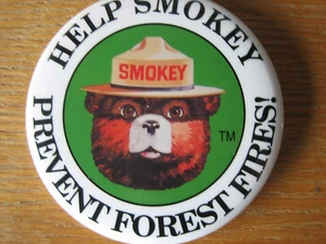 3" Vintage Wildland Brandschutz Rauchbär Waldbrände verhindern Button Pin - Bild 1 von 3