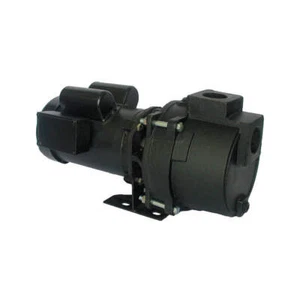 DAYTON 5RWG5 Pump,3/4 HP,1Ph,120/208 to 240VAC 5RWG5 - Picture 1 of 2