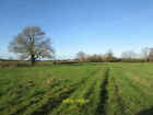 Photo 6x4 Bridleway over pasture after passing Skerne Grange  c2020