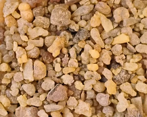 Frankincense Resin - Olibanum Gum - Boswellia sacra / carteri CHOOSE 0.5 - 4 oz - Picture 1 of 5
