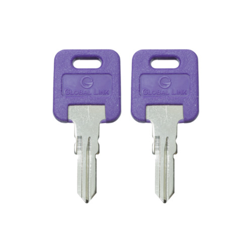 1 Pair (2 keys) Global Link Precut Keys G301 - G391 Rv Trailer Camper Keys