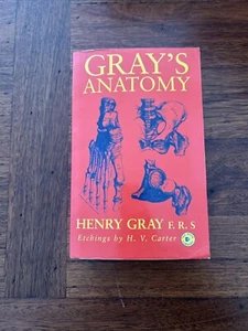 Gray's Anatomy Paperback 1996 by Henry Gray F. R. S (S2.0) - Picture 1 of 8