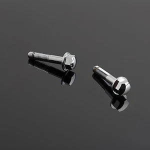SIDE COVER BOLT SET(2) NEW KAWASAKI VIS CACHE LATERAL H1 500 H1 D E F KH TRIPLE - Bild 1 von 1