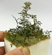 accessori Diorama vegetazione per il diorama, plastico ferroviario o presepe