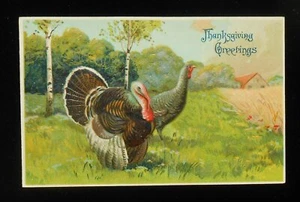 1910er Erntedankgrüße männliche und weibliche Truthähne Birken Bäume Bauernhof Postkarte - Bild 1 von 1
