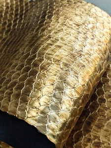 Antique Gold Sea Python Snakeskin Sanke Skin Hide Leather - Picture 1 of 5