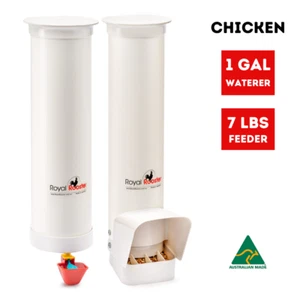 Royal Rooster Chicken Feeder and Chicken Waterer Set - 7lb Feeder, 1 Gal Waterer - Picture 1 of 17