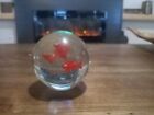 art glass paperweight features two fish suspended in Clear aquarium