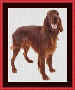 Irish Red Setter Dog Cross Stitch Kit - Picture 1 of 2